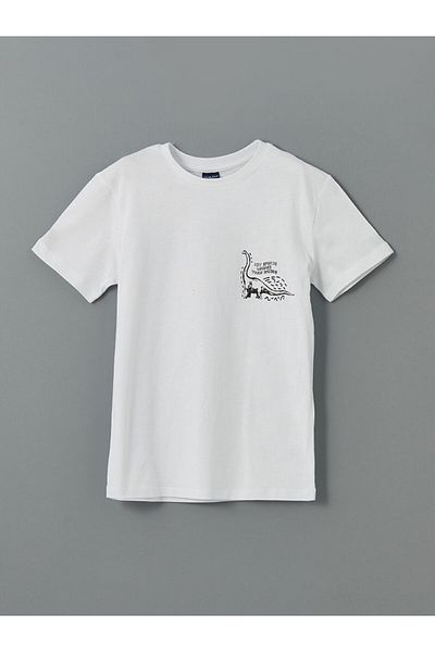 LC Waikiki New Season Crew Neck Boy's T-Shirt - S5I145Z4