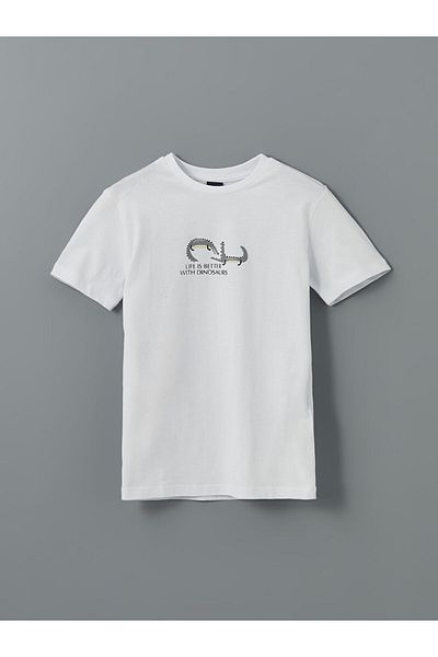 LC Waikiki New Season Crew Neck Boy's T-Shirt - S5I144Z4