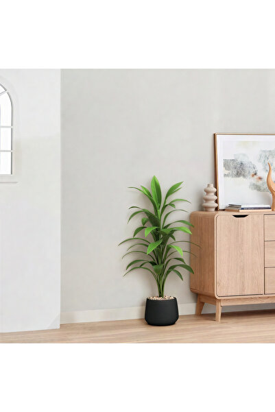 Ebticar نبات دراسينا ذرة اصطناعي - أسود