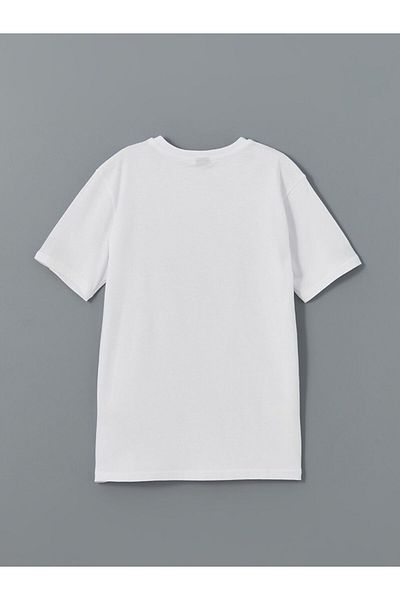 LC Waikiki Crew Neck Boy's T-Shirt
