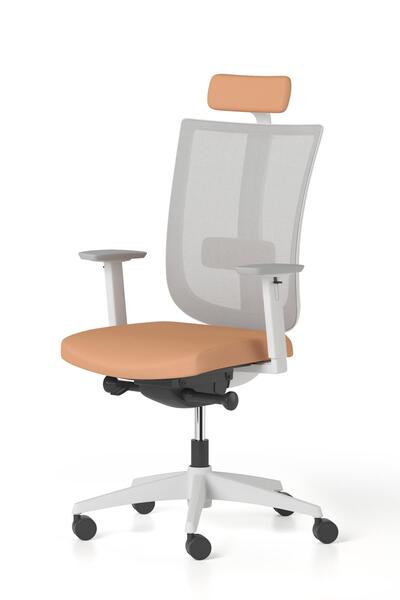 Bürotime Move Yönetici Koltuğu, Plastik Ayak, Gri & Somon