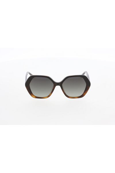 Osse Sunglasses