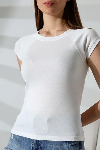 LITTLEMOON COMPAC RHUBARBANA COLLAR AND CUFFED RAGLAN SLEEVE BICYCLE COLLAR TSHIRT