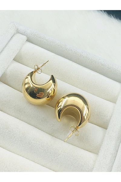 DS DİAMONDSHOP Steel Earring Basket Model Byçkp- 202503468