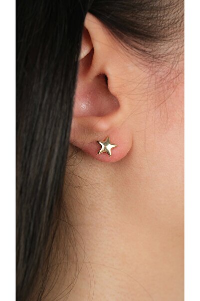 Arpaş 14 Ayar Altın Yıldız Vidalı Küpe