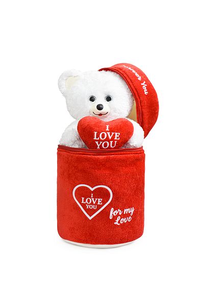 Pababo (I Love You) Written Heart Teddy Bear with Special Plush Bag - Cute Cinnamon Colored Plush Teddy Bear