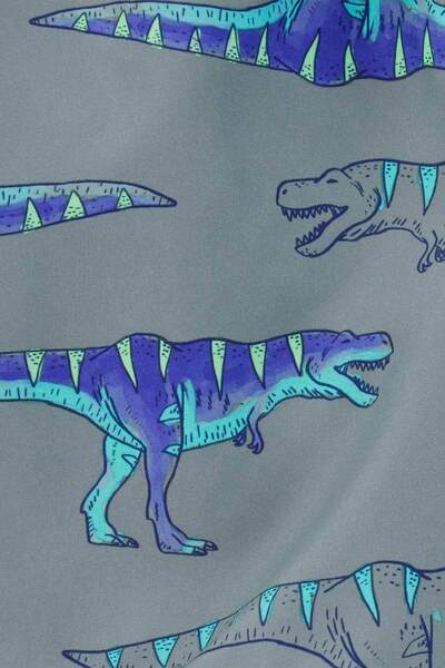 Carter's Boy's Shorts Swimsuit