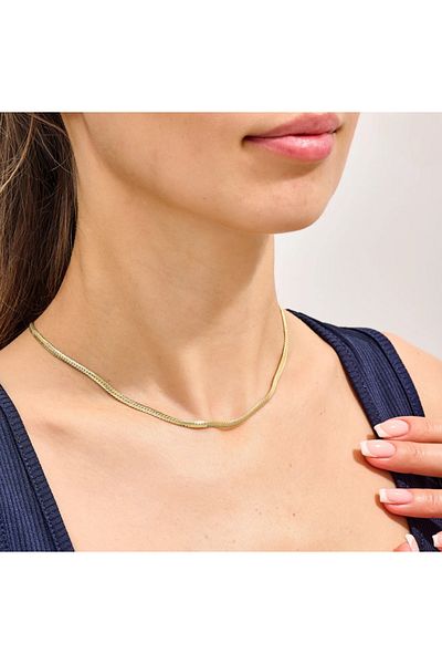 Eva Jewelry Women's 316L Stainless Steel Gold Color Italian Chain Necklace