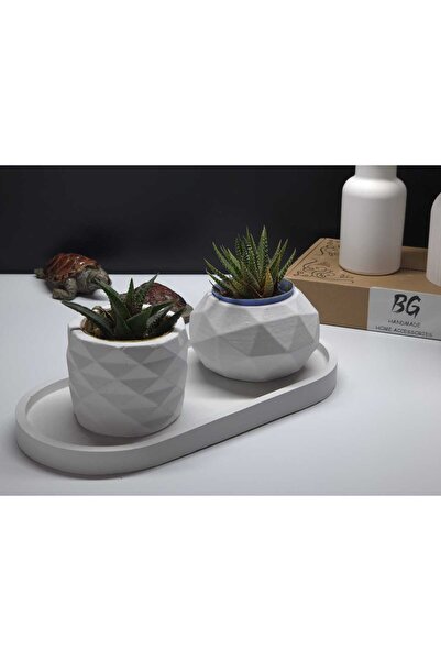BG HANDMADE DECORATIVE HOME ACCESSORIES Tepsili Sukulent Saksı Seti Tip-4