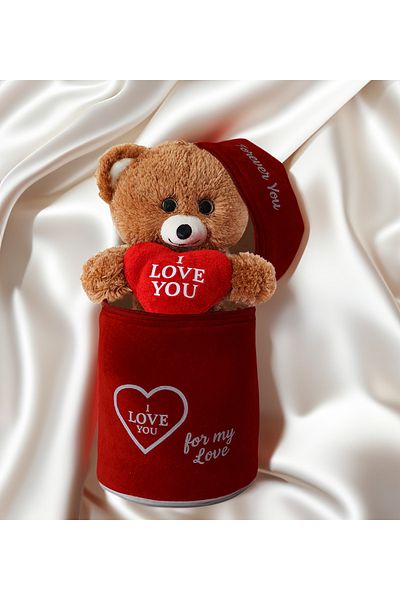 Princess Bear Care Bear in Surprise Box, with I Love You Message, in Love Box