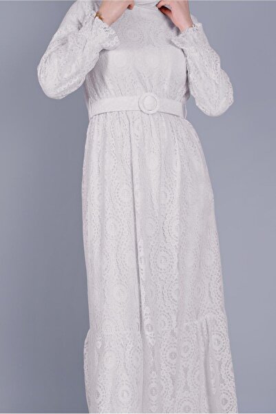 Alvina Lace Dress 41663