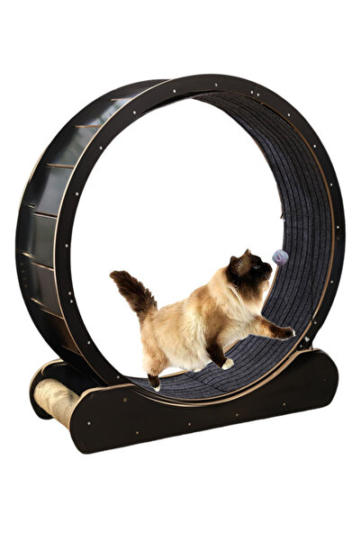 KidLe عجلة جري كبيرة للقطط، جهاز المشي للقطط، عجلة تمرين للقطط للاستخدام الداخلي