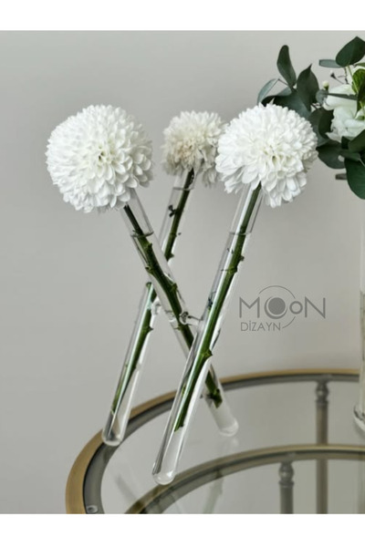 Moon Dizayn Çapraz Cam Vazo X Vazo