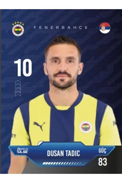 Fenerbahçe الحزمة البيئية - فنربخشة - بطاقات لاعب كرة القدم النبضية 2024/25 -5 حزمة