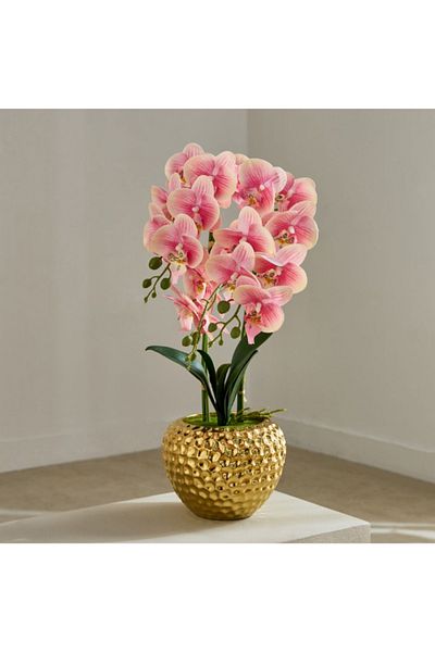Home Box Areos Orchid Flower Arrangement with Hammered Ceramic Pot - 48x24x58 cm