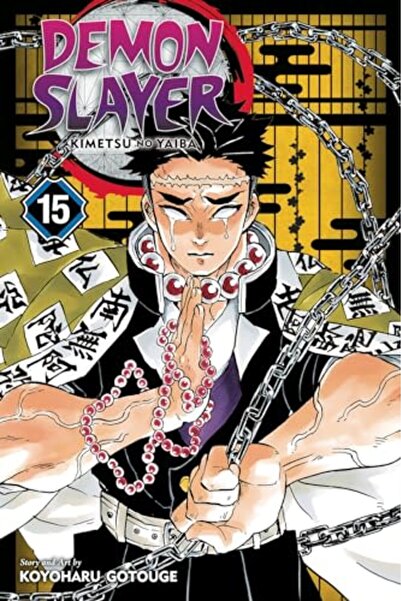 Harper Collins Demon Slayer Kimetsu No Yaiba Vol 15