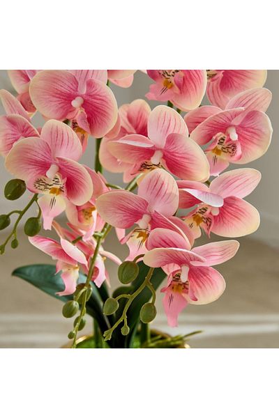 Home Box Areos Orchid Flower Arrangement with Hammered Ceramic Pot - 48x24x58 cm