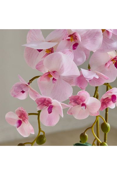 Home Box Areos Orchid Flower Arrangement with Ribbed Ceramic Pot - 58 cm