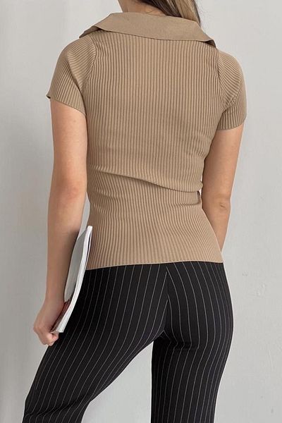 lovebox Women's Stretchy Knitwear Fabric V-Neck Short Sleeve Basic Mink Blouse 0271