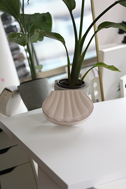 Moom Bag Women's Cream Oyster Mold Chain Shoulder Bag