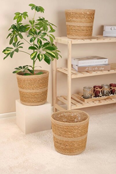 AVANTAGE HOME Martina - 3 Adet Dekoratif İç Korumalı Doğal El Örmesi Hasır Saksı Sepet Seti 24 cm