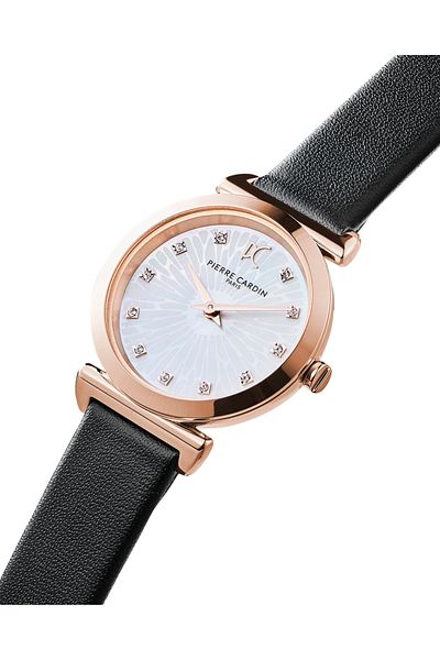 Pierre Cardin Ceas Panthéon Femei CF.0812.LB.2