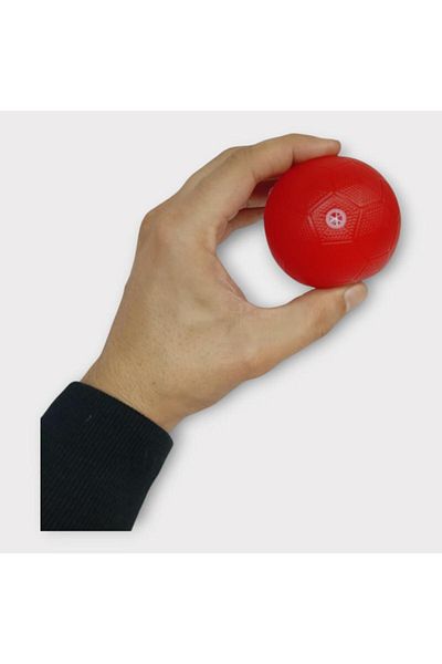 doremodam Dog Toy - Plastic Whistle Ball - Red (Lisinya)