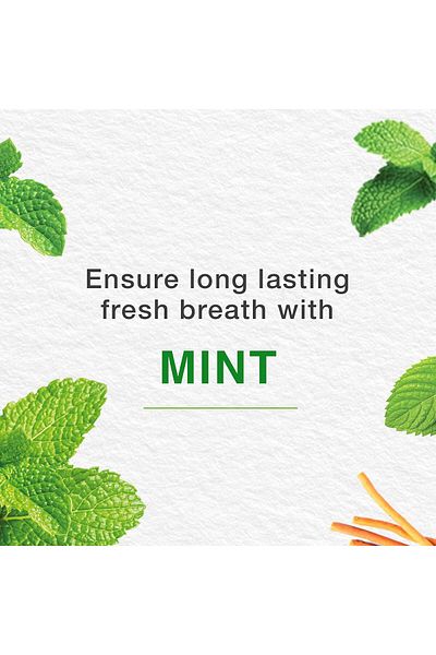 Himalaya Since 1930 Mint Fresh Herbal Toothpaste Prevent Mouth Odor & Ensure Long-Lasting Fresh Brea