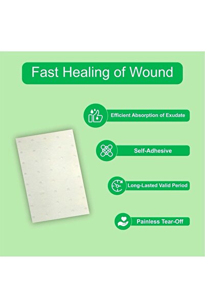 Silva Mint Heat Therapy Tiger Pain Relief Patch 5-Pieces, 9 cm x 6 cm Size