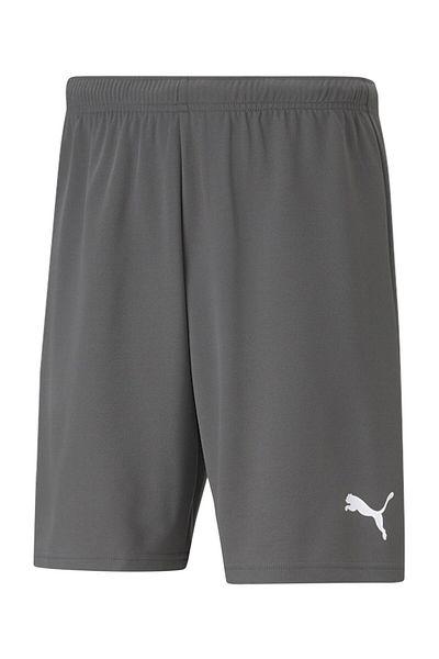 Puma Pánské kraťasy Teamrise Short70494213 šedé