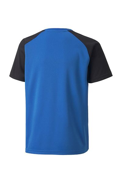 Puma TeamPACER - Чоловіче взуття для стрітболу II
