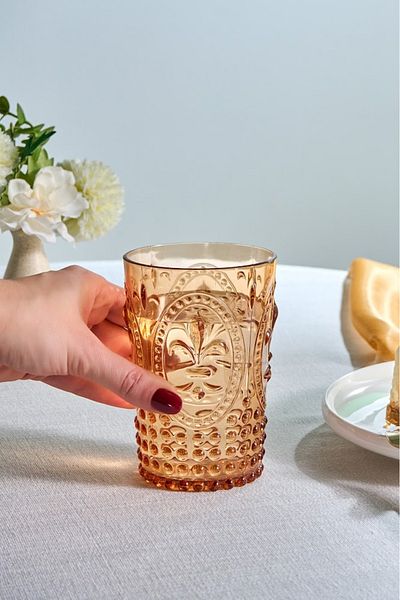 Karaca Orange Moise Water Glass - Acrylic, 400 ml