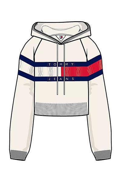Tommy Hilfiger TJW CENTER FLAG HOOD SWEATER EXT