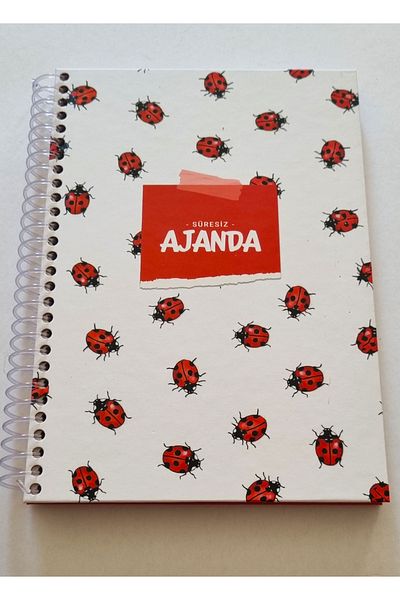 Modellino Agenda fără timp pe spirală de 200 de coli cu autocolante colorate Ufen A4 copertă rigidă