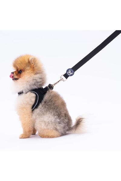 Pawstar L04 Siyah Sevk Kayışı