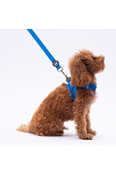 Pawstar Mavi Leash Kedi Köpek Sevk & Gezdirme Kayışı Köpek Uzatma Tasması