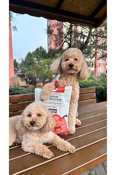 kito Doğal Besi Kuzu Etli Yetişkin Mini Irk Köpek Maması 2.5 Kg (SÜPER PREMİUM MAMA-ADULT MİNİ)