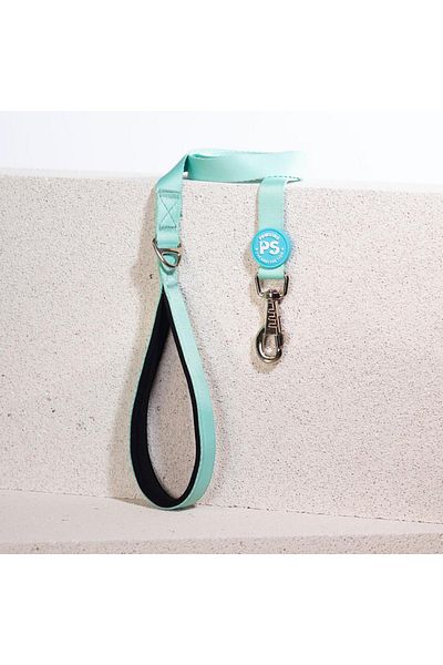 Pawstar Mint Leash Cat Dog Lead & Lead Dog Extension Leash