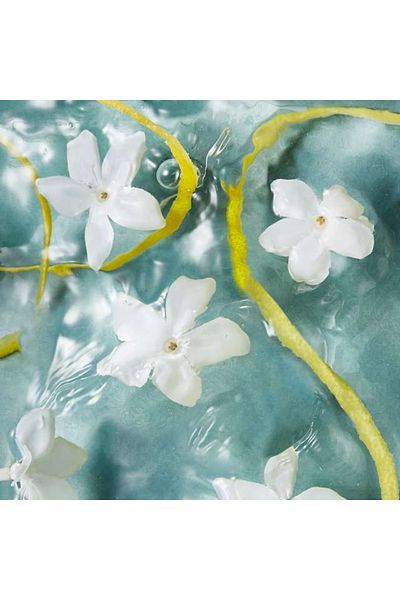 Oriflame Nordic Waters Eau de Parfum for Her 50 ml, Oriflame
