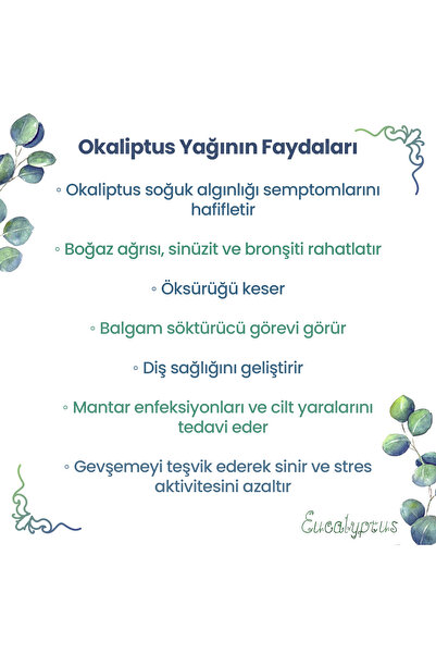NPO Yogaroma Refreshing Aromatherapy 10ml Pure and Natural Eucalyptus Essential Oil
