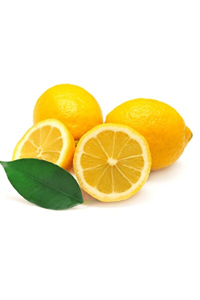 fidanpaketim Yediveren Limon Ağacı