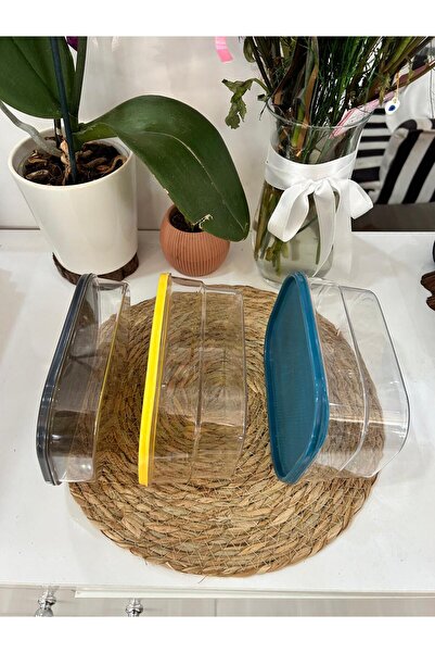 Genel Markalar Renkli Üçlü Saklama Kabı Seti, Mika Kapaklar ile Güzel ve Pratik Saklama Çözümü