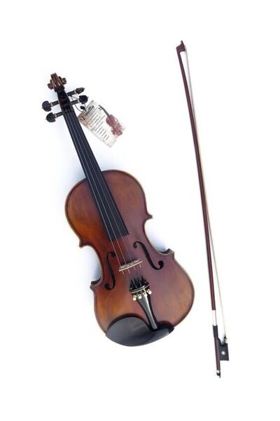 VANETTA VL-5 / 4/4 Masif Keman (Abanoz Burgu ve Aksam)