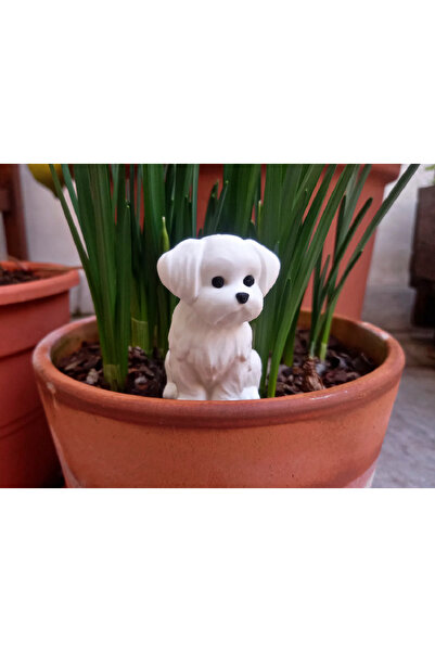 CharmFancy Malta Köpeği Teraryum Skulent Obje Teraryum Süs Saksı Süs Köpek Mi...