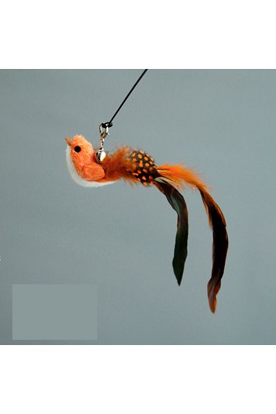 Choice Orange Bird Funny Bird Feather Cat Wand With Bell Accessories Interactive Toys For Cats Kitten Hunti