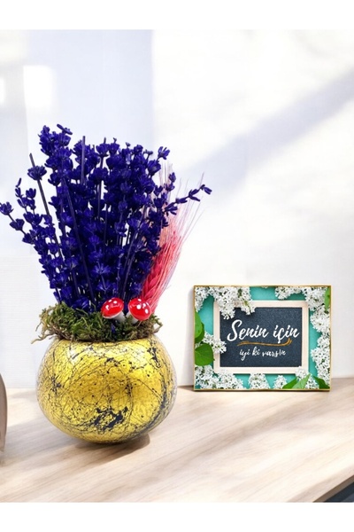 MEGA KANYON Lavanta Çiçekli Oval Saksı Aranjmanı | Anneye Hediye Sevgiliye He...