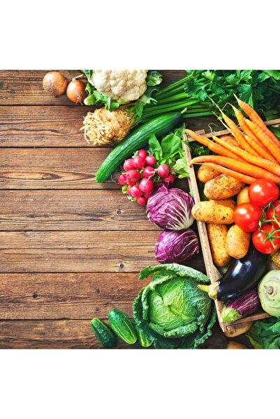 AnamurNaturel Doğal Beyaz Çerezlik Çitlemelik Ayçiçeği Çekirdek Tohumu (40 Tohum)