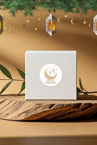 MSticker 48 Pieces of Holiday Greeting Sticker Pack That Is Not Affected by Water