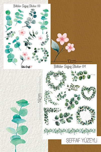 SelisCraft Bitkiler Temalı Şeffaf Sticker Seti 03-04 Ajanda Planlayıcı Bullet...