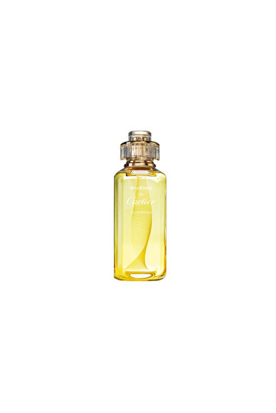 Cartier Rivieres De Allegresse عطر من Cartier Eau de Toilette 100 مل